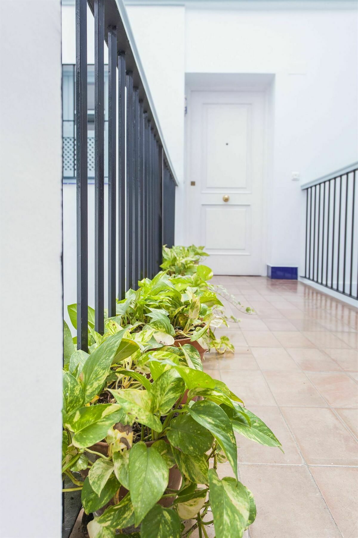 Santa Cruz Apartment Севиля Екстериор снимка